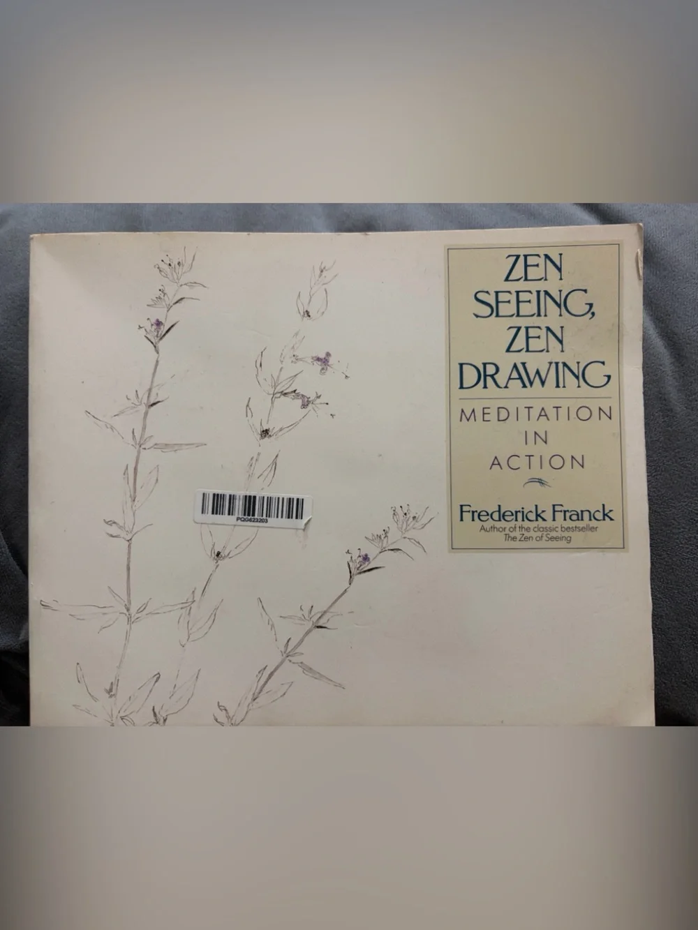 Zen Seeing, Zen Drawing